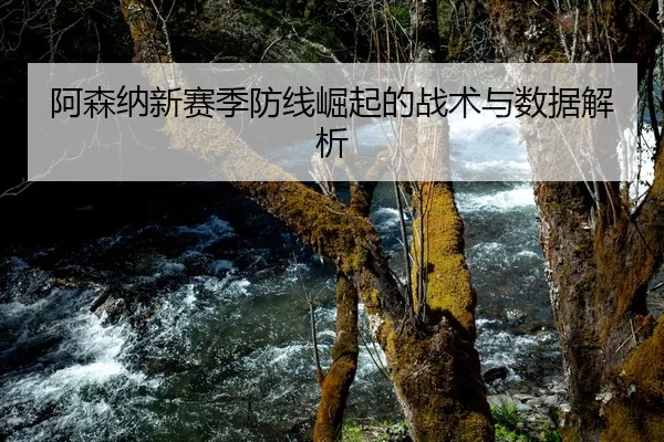 阿森纳新赛季防线崛起的战术与数据解析